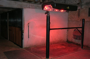 salle de pansage